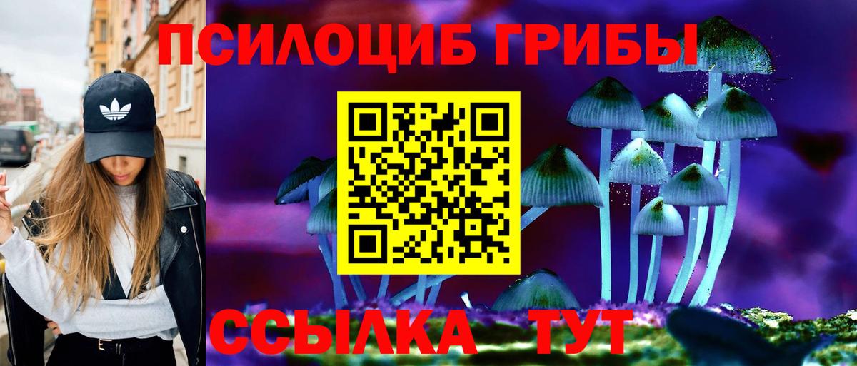 Псилоцибиновые грибы Psilocybine cubensis  купить наркотики сайты  Комсомольск-на-Амуре  Вход с VPN 